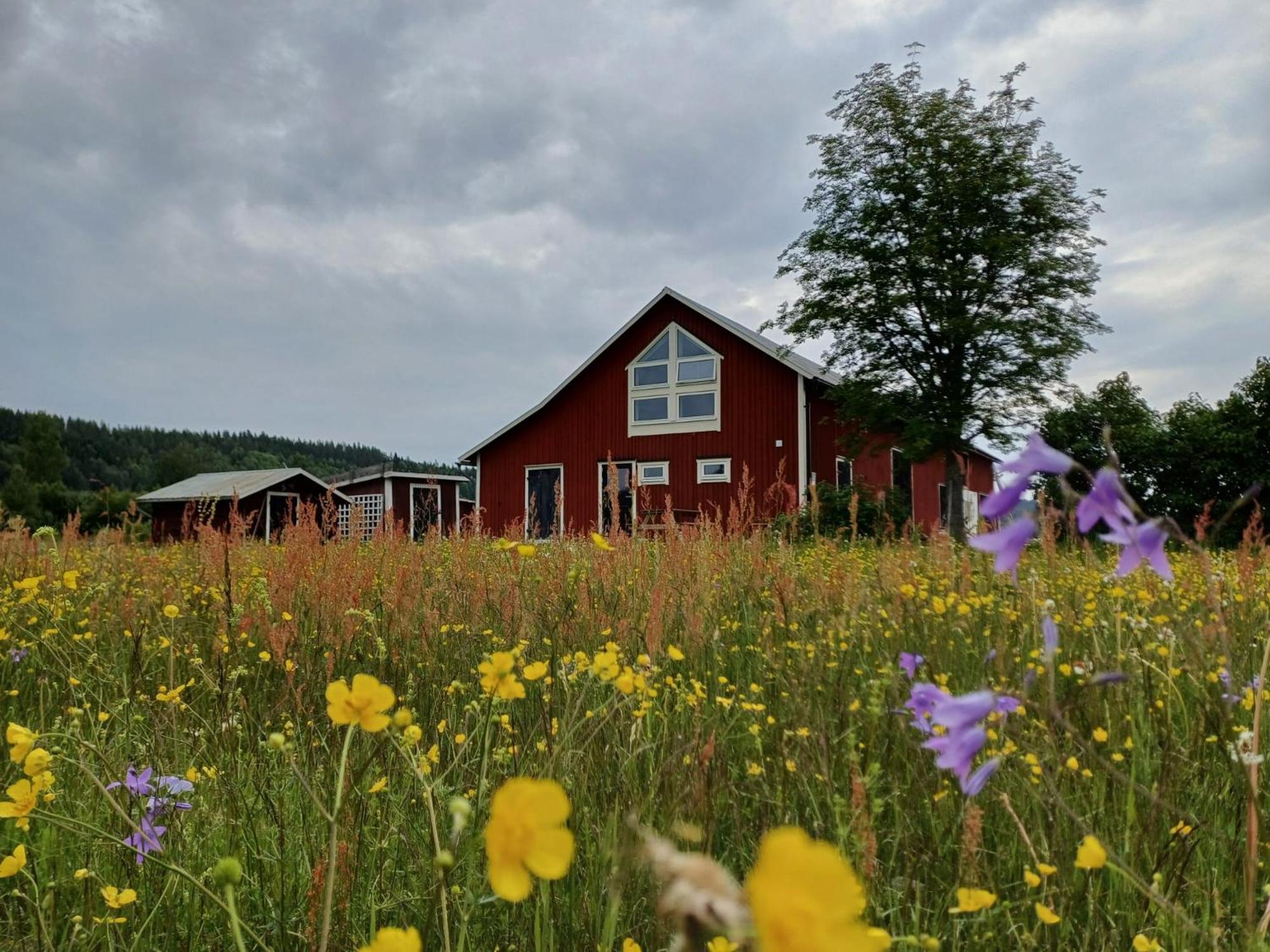 Apartamento Ladansloft Stöllet Exterior foto